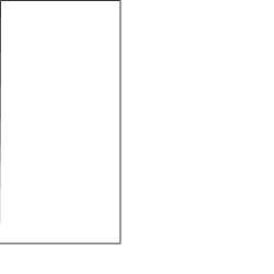 picture_854328 picture_854328