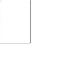 picture_985613 picture_985613