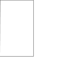 picture_998032 picture_998032