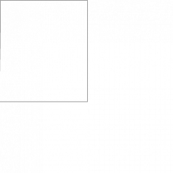 picture_1181629 picture_1181629