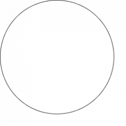 picture_1247583 picture_1247583