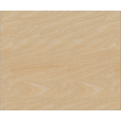 picture_199130.0 picture_199130.0