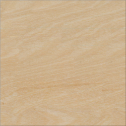 picture_211201.0 picture_211201.0