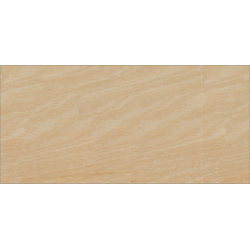 picture_318013.0 picture_318013.0