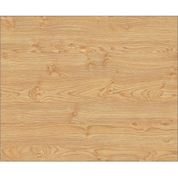 picture_451337.0 picture_451337.0