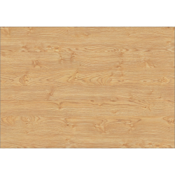 picture_474946.0 picture_474946.0